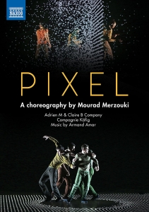 Various - Pixel (Dvd) i gruppen DVD & BLU-RAY hos Bengans Skivbutik AB (2527353)