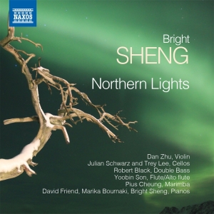 Sheng Bright - Northern Lights i gruppen VI TIPSER / Julegavetips CD hos Bengans Skivbutik AB (2527409)