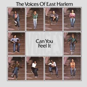 Voices Of East Harlem - Can You Feel It i gruppen VINYL hos Bengans Skivbutik AB (2538552)