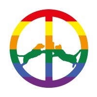 Hype Williams - Rainbow Edition i gruppen CD hos Bengans Skivbutik AB (2542704)