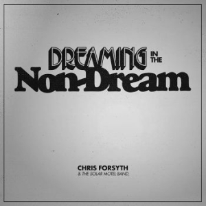 Chris Forsyth & The Solar Motel Ban - Dreaming In The Non-Dream i gruppen VINYL hos Bengans Skivbutik AB (2543295)