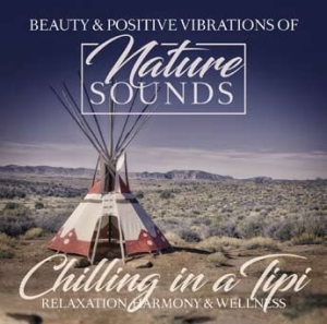 Various Artists - Chilling In A Tipi i gruppen CD hos Bengans Skivbutik AB (2545390)