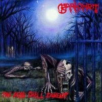 Baphomet - Dead Shall Inherit i gruppen VINYL hos Bengans Skivbutik AB (2546319)