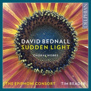 Bednall David - Sudden Light i gruppen VI TIPSER / Julegavetips CD hos Bengans Skivbutik AB (2547854)