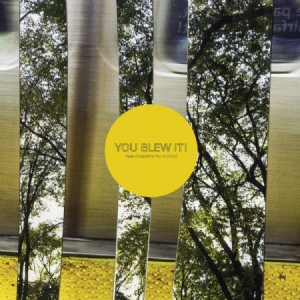 You Blew It! - Keep Doing What You're Doing i gruppen VINYL hos Bengans Skivbutik AB (2548944)