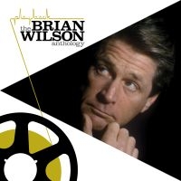 BRIAN WILSON - PLAYBACK: THE BRIAN WILSON ANT i gruppen CD hos Bengans Skivbutik AB (2549586)