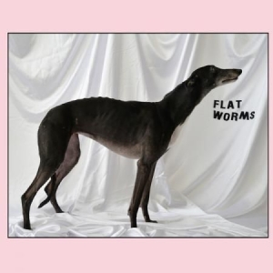 Flat Worms - Flat Worms i gruppen VINYL hos Bengans Skivbutik AB (2553195)