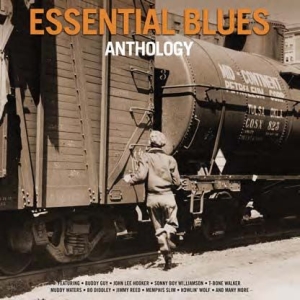 Various Artists - Essential Blues Anthology i gruppen VINYL hos Bengans Skivbutik AB (2553236)