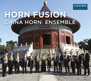 Various - Horn Fusion i gruppen CD hos Bengans Skivbutik AB (2556733)