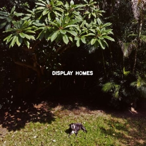 Display Homes - Climate Change i gruppen VINYL hos Bengans Skivbutik AB (2561227)