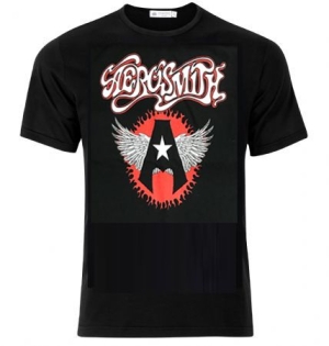 Aerosmith - Aerosmith T-Shirt A Star i gruppen MERCH hos Bengans Skivbutik AB (2599030)