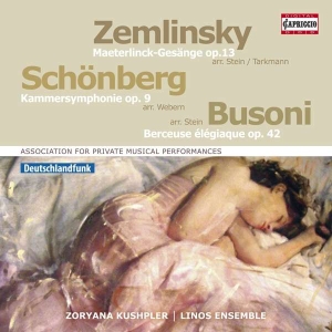 Zemlinsky Alexander Schoenberg A - Orchestral Songs i gruppen VI TIPSER / Julegavetips CD hos Bengans Skivbutik AB (2607678)