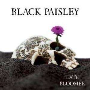 Black Paisley - Late Bloomer i gruppen VINYL hos Bengans Skivbutik AB (2618070)