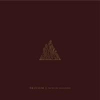 TRIVIUM - THE SIN AND THE SENTENCE i gruppen CD hos Bengans Skivbutik AB (2618080)