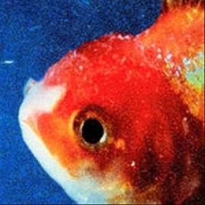 Vince Staples - Big Fish Theory i gruppen CD hos Bengans Skivbutik AB (2637952)