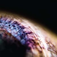 Emptyset - Skin i gruppen VINYL hos Bengans Skivbutik AB (2714601)