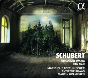 Schubert Franz - Arpeggione Sonata & Trio No. 2 i gruppen VI TIPSER / Julegavetips CD hos Bengans Skivbutik AB (2721330)