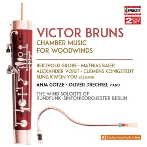 Bruns Victor - Chamber Music For Woodwinds i gruppen CD hos Bengans Skivbutik AB (2728261)