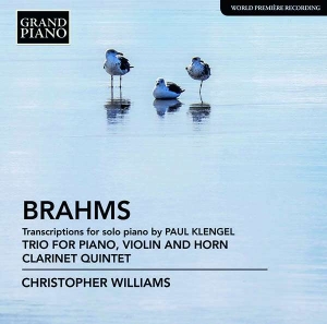 Brahms Johannes - Transcriptions For Solo Piano (By K i gruppen VI TIPSER / Julegavetips CD hos Bengans Skivbutik AB (2728299)