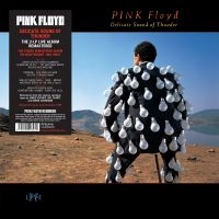 Pink Floyd - Delicate Sound Of Thunder i gruppen Minishops / Pink Floyd hos Bengans Skivbutik AB (2799051)