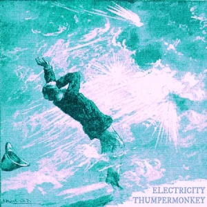 Thumpermonkey - Electricity i gruppen CD hos Bengans Skivbutik AB (2813489)