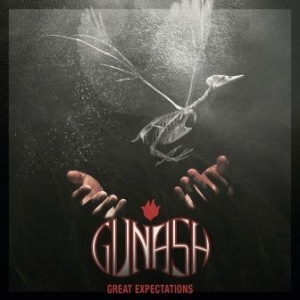 Gunash - Great Expectations i gruppen VINYL hos Bengans Skivbutik AB (2822261)