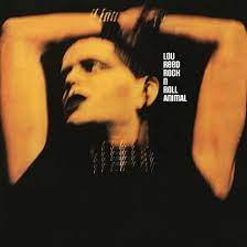 Reed Lou - Rock N Roll Animal i gruppen Minishops / Lou Reed hos Bengans Skivbutik AB (2887486)