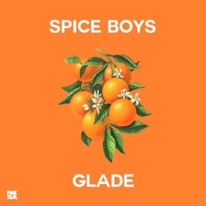 Spice Boys - Glade i gruppen VI TIPSER / Julegavetips CD hos Bengans Skivbutik AB (3013755)