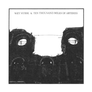 Wet Nurse & Ten Thousand Miles Of A - Split Cd i gruppen CD hos Bengans Skivbutik AB (3013760)