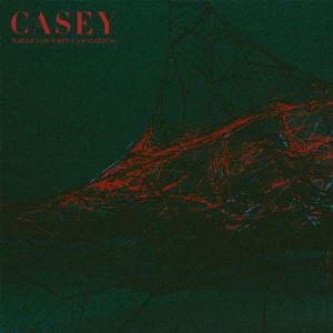 Casey - Where I Go When I Am Sleeping i gruppen CD hos Bengans Skivbutik AB (3013992)