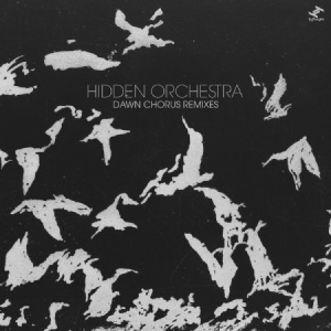 Hidden Orchestra - Dawn Chorus Remixes i gruppen VINYL hos Bengans Skivbutik AB (3015836)