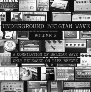 Various Artists - Underground Belgian Wave Volume 2 i gruppen VINYL / Rock hos Bengans Skivbutik AB (3015845)