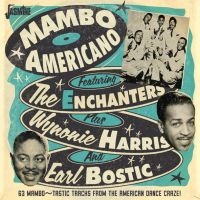 Blandade Artister - Mambo Americano:63 Manbo-Static Tra i gruppen CD hos Bengans Skivbutik AB (3034385)