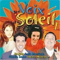 Blandade Artister - Le Soleil Dans La Voix i gruppen CD hos Bengans Skivbutik AB (3042783)