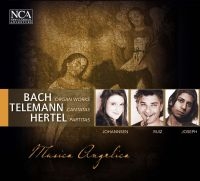 Musica Angelica - Bach, Telemann, Hertel i gruppen CD hos Bengans Skivbutik AB (3043468)