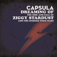 Capsula - Dreaming Of/ The Rise And Fall i gruppen VINYL hos Bengans Skivbutik AB (3044194)