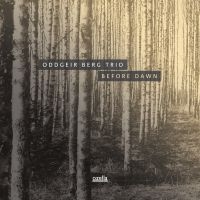 Berg Oddgeir (Trio) - Before Dawn i gruppen CD hos Bengans Skivbutik AB (3045759)