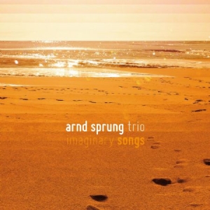 Sprung Arnd (Trio) - Imaginary Songs i gruppen CD hos Bengans Skivbutik AB (3049826)