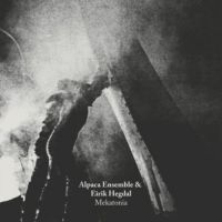 Alpaca Ensemble - Eirik Hegdal i gruppen VINYL hos Bengans Skivbutik AB (3083087)