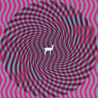 Deerhunter - Cryptograms i gruppen VINYL hos Bengans Skivbutik AB (3096980)