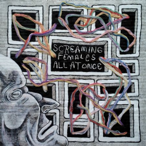 Screaming Females - All At Once i gruppen CD hos Bengans Skivbutik AB (3110090)