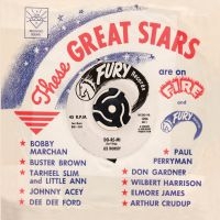 Various Artists - These Great Stars Are On Fire & Fur i gruppen CD hos Bengans Skivbutik AB (3110104)