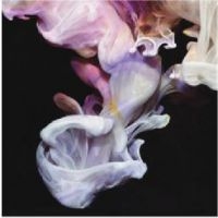 Simian Mobile Disco - Murmurations i gruppen CD hos Bengans Skivbutik AB (3115867)