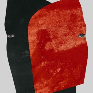 Rival Consoles - Persona i gruppen VINYL hos Bengans Skivbutik AB (3127016)