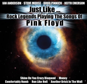 Various Artists - Just Like...Rock Legends Play Pink i gruppen CD hos Bengans Skivbutik AB (3178314)