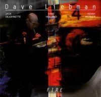 Liebman Dave - Fire i gruppen CD hos Bengans Skivbutik AB (3178316)