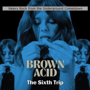 Various Artists - Brown Acid - The Sixth Trip i gruppen CD hos Bengans Skivbutik AB (3179933)