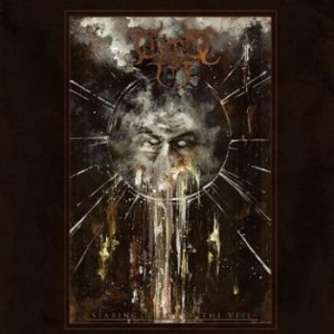 Cryptic Fog - Staring Through The Veil i gruppen CD hos Bengans Skivbutik AB (3179994)