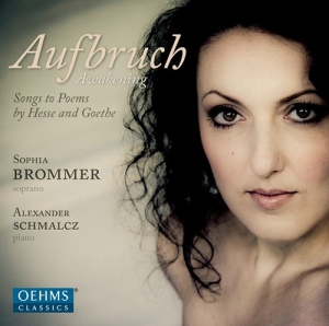 Brommer - Aufbruch i gruppen VI TIPSER / Julegavetips CD hos Bengans Skivbutik AB (3187151)