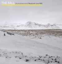 Fall - Levitate i gruppen VINYL hos Bengans Skivbutik AB (3205168)